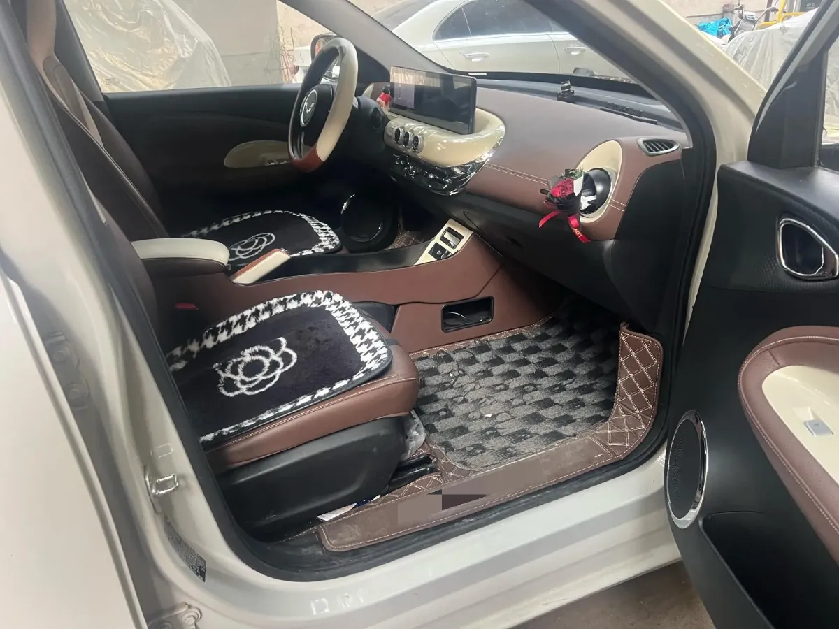 2023 WuLing BinGuo BEV 17.3KWH,autocango,china used car exporter,china ev exporter,chinese used car exporter,chinese used ev exporter