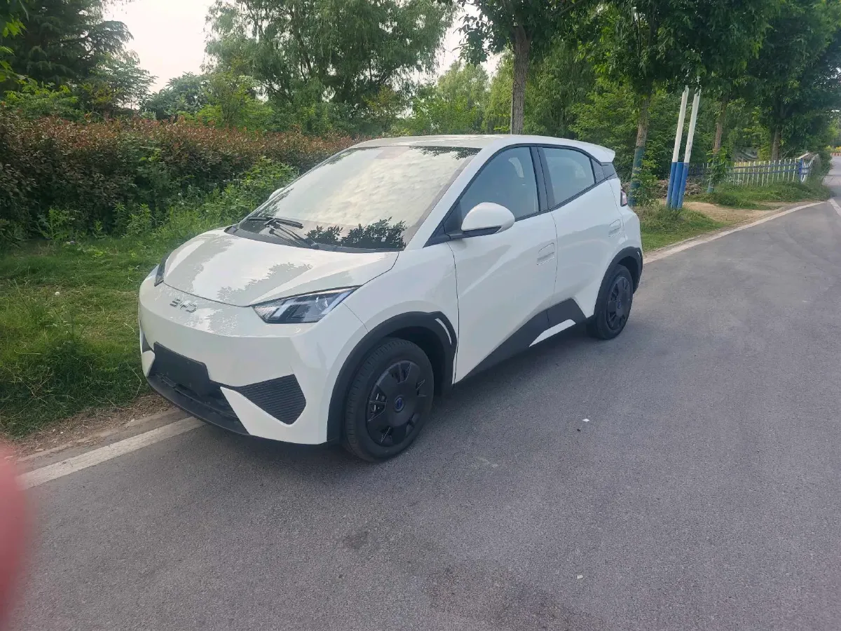 2025 BYD Seagull BEV 30.08KWH,autocango,china used car exporter,china ev exporter,chinese used car exporter,chinese used ev exporter