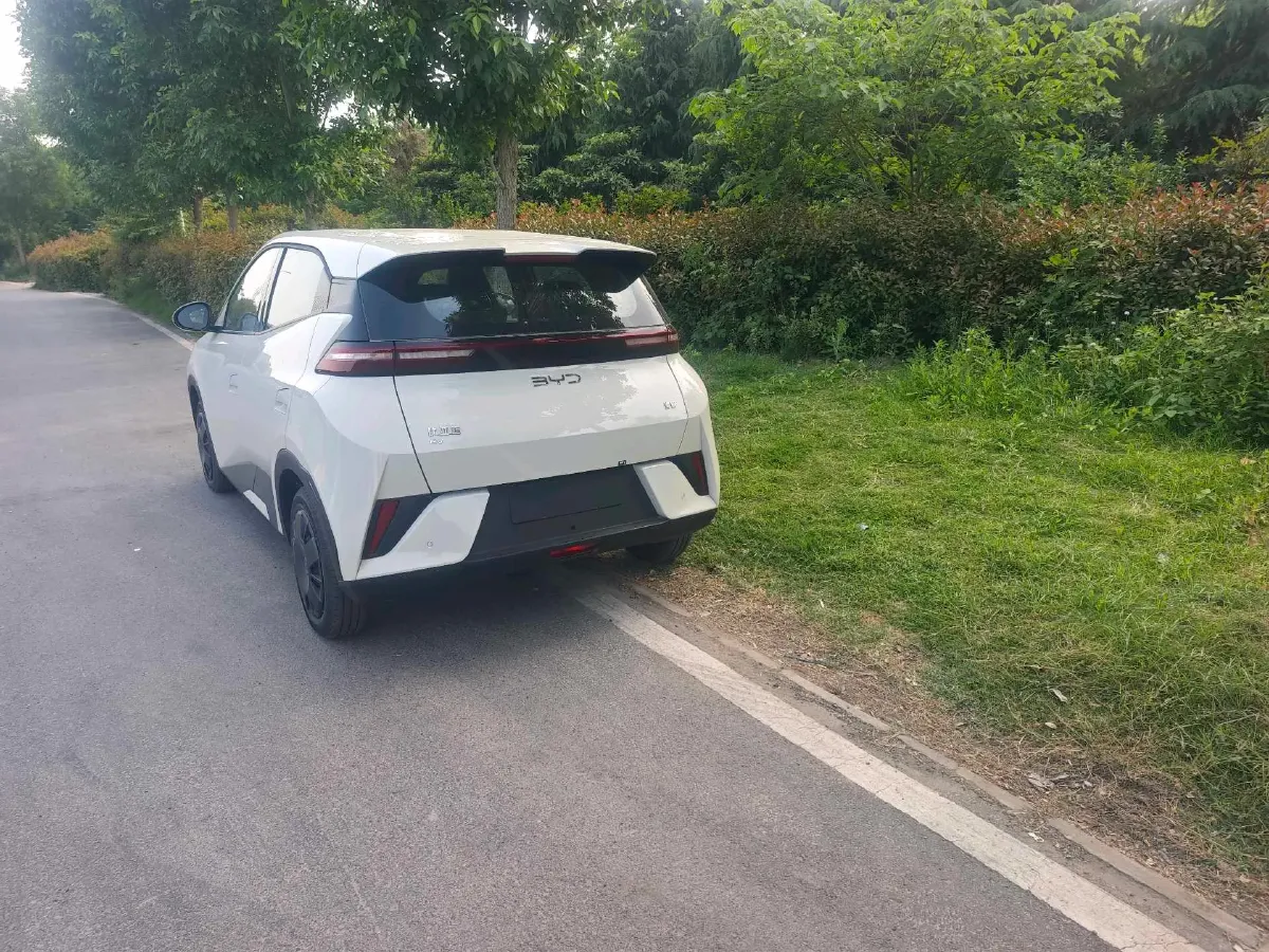 2025 BYD Seagull BEV 30.08KWH,autocango,china used car exporter,china ev exporter,chinese used car exporter,chinese used ev exporter