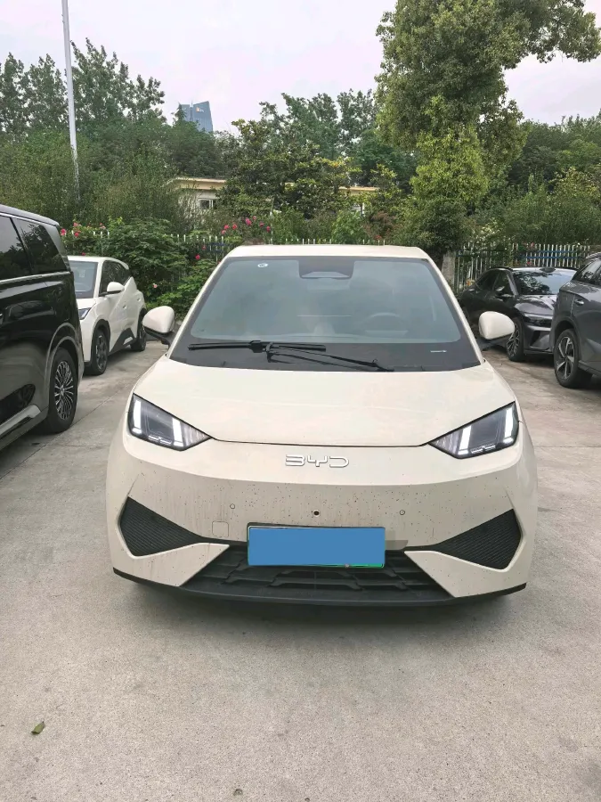 2025 BYD Seagull BEV 30.08KWH,autocango,china used car exporter,china ev exporter,chinese used car exporter,chinese used ev exporter