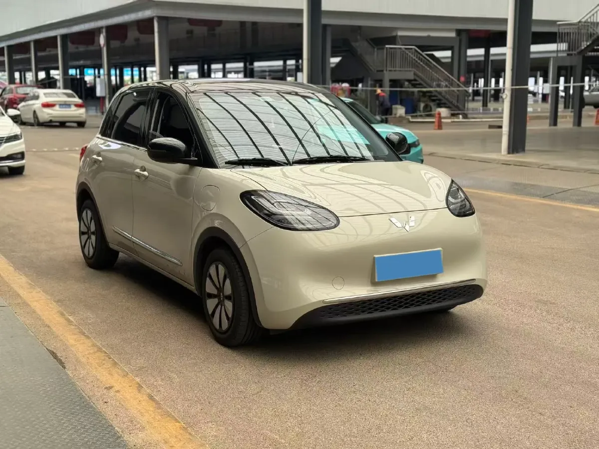 2024 WuLing BinGuo BEV 31.9KWH,autocango,china used car exporter,china ev exporter,chinese used car exporter,chinese used ev exporter