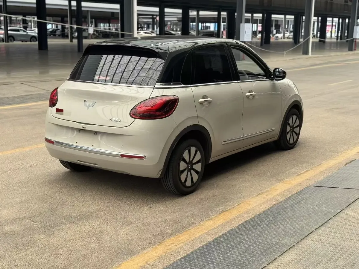 2024 WuLing BinGuo BEV 31.9KWH,autocango,china used car exporter,china ev exporter,chinese used car exporter,chinese used ev exporter