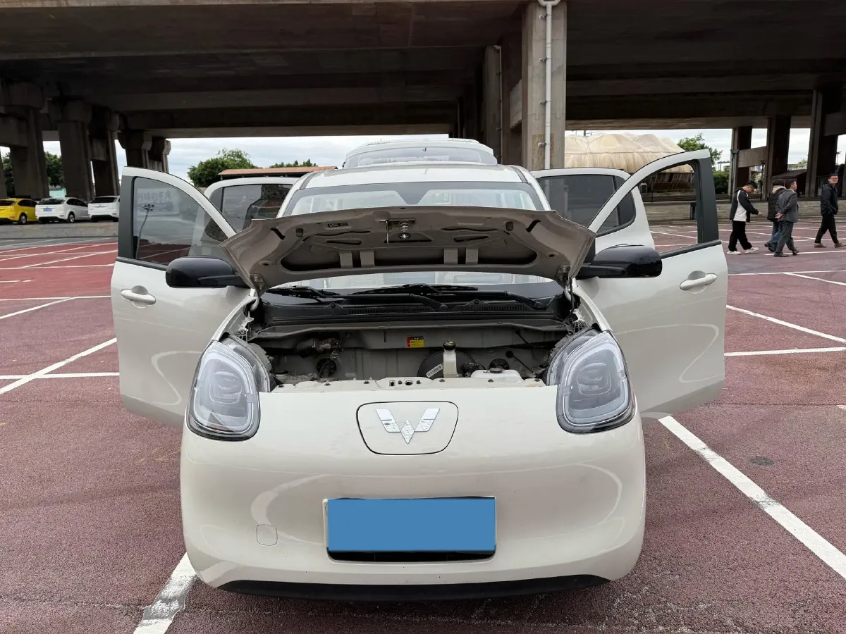 2025 WuLing HongGuang MINI EV BEV 16.2KWH,autocango,china used car exporter,china ev exporter,chinese used car exporter,chinese used ev exporter