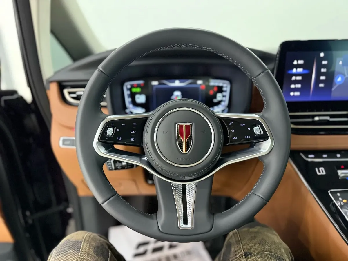 2023 HongQi HQ9 2.0T 252HP L4 8AT,autocango,china used car exporter,china ev exporter,chinese used car exporter,chinese used ev exporter