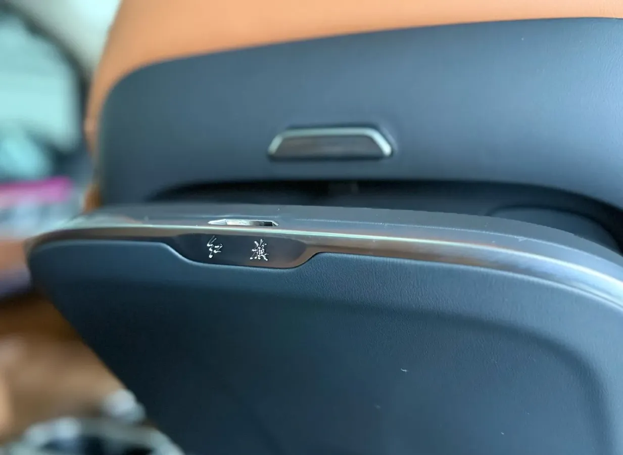 2023 HongQi HQ9 2.0T 252HP L4 8AT,autocango,china used car exporter,china ev exporter,chinese used car exporter,chinese used ev exporter