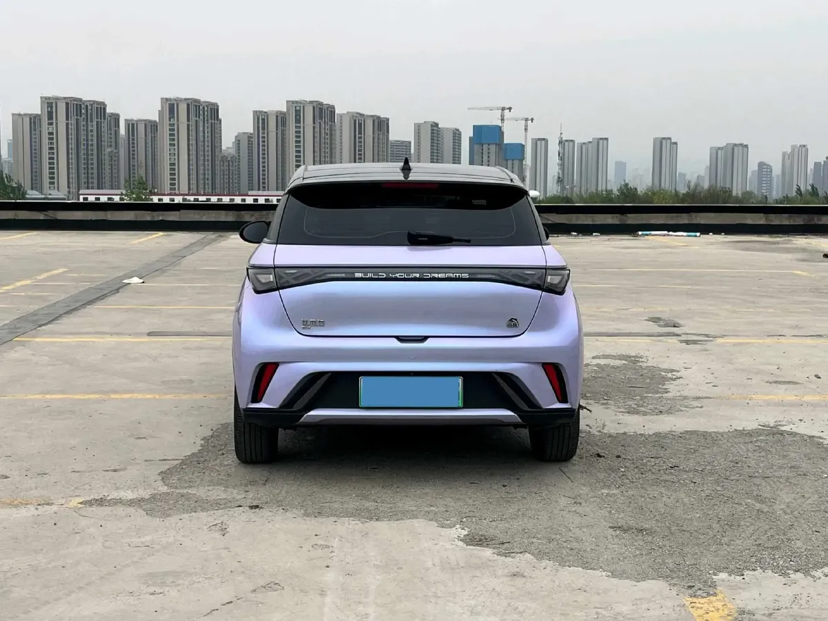2023 BYD Dolphin BEV 44.928KWH,autocango,china used car exporter,china ev exporter,chinese used car exporter,chinese used ev exporter