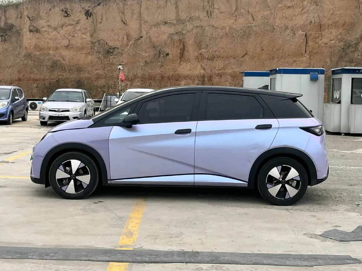 2023 BYD Dolphin BEV 44.928KWH,autocango,china used car exporter,china ev exporter,chinese used car exporter,chinese used ev exporter