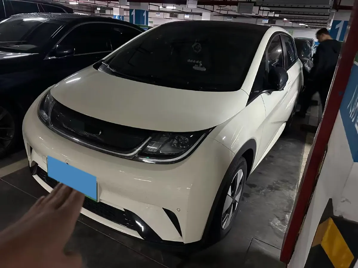 2023 BYD Dolphin BEV 44.928KWH,autocango,china used car exporter,china ev exporter,chinese used car exporter,chinese used ev exporter