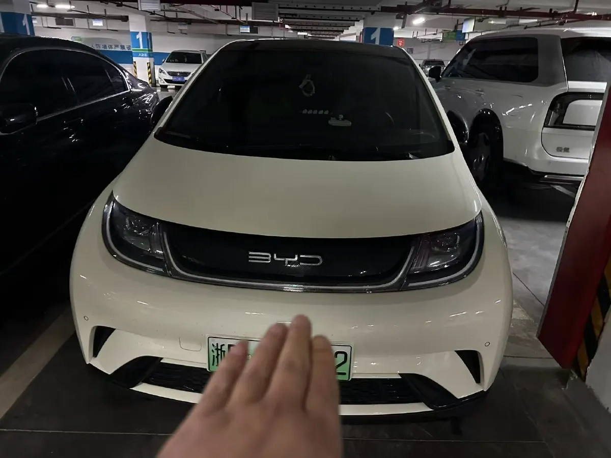 2023 BYD Dolphin BEV 44.928KWH,autocango,china used car exporter,china ev exporter,chinese used car exporter,chinese used ev exporter