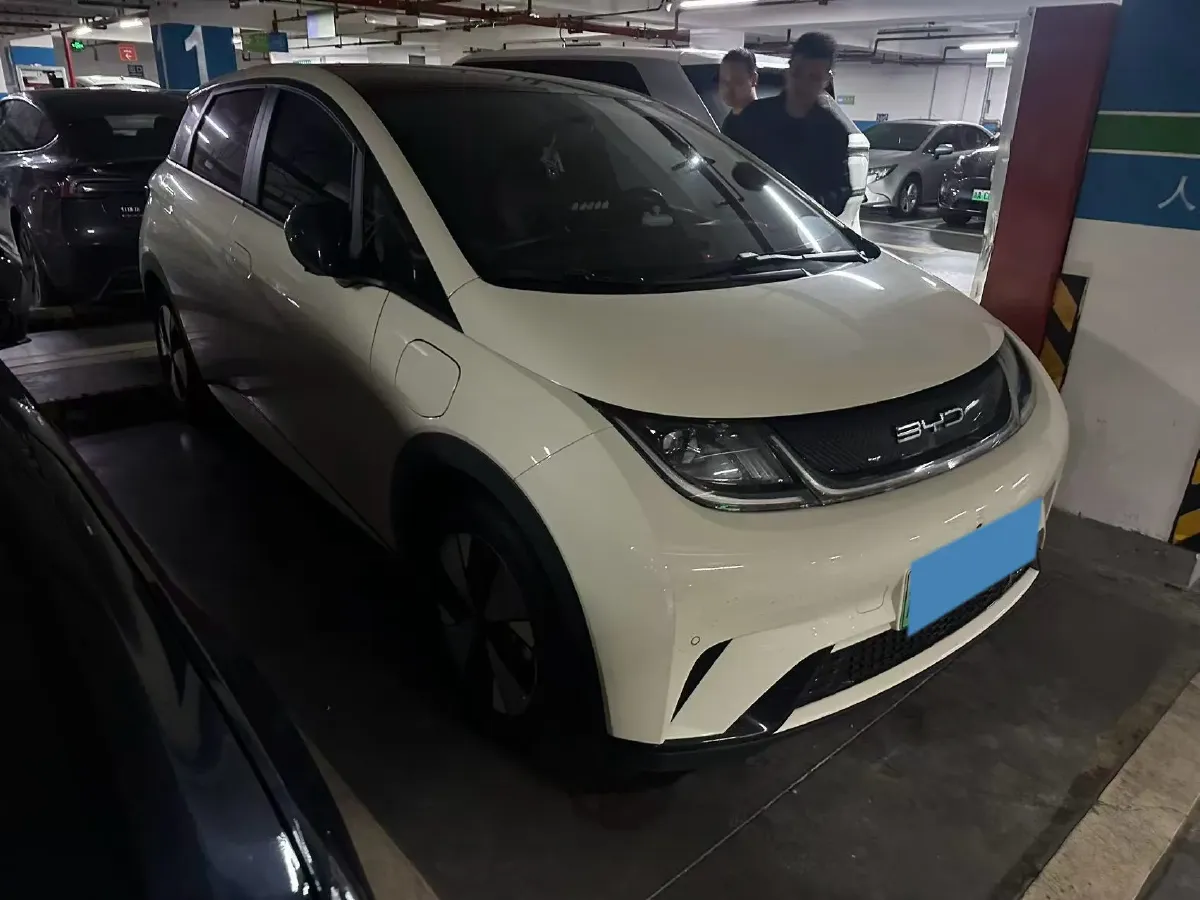 2023 BYD Dolphin BEV 44.928KWH,autocango,china used car exporter,china ev exporter,chinese used car exporter,chinese used ev exporter