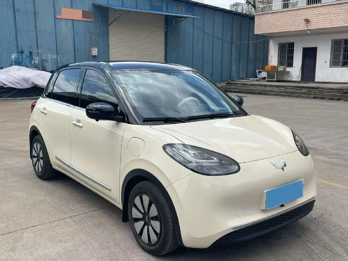 2025 WuLing BinGuo BEV,autocango,china used car exporter,china ev exporter,chinese used car exporter,chinese used ev exporter