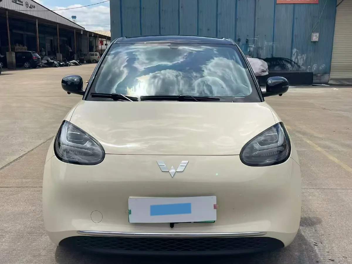 2025 WuLing BinGuo BEV,autocango,china used car exporter,china ev exporter,chinese used car exporter,chinese used ev exporter