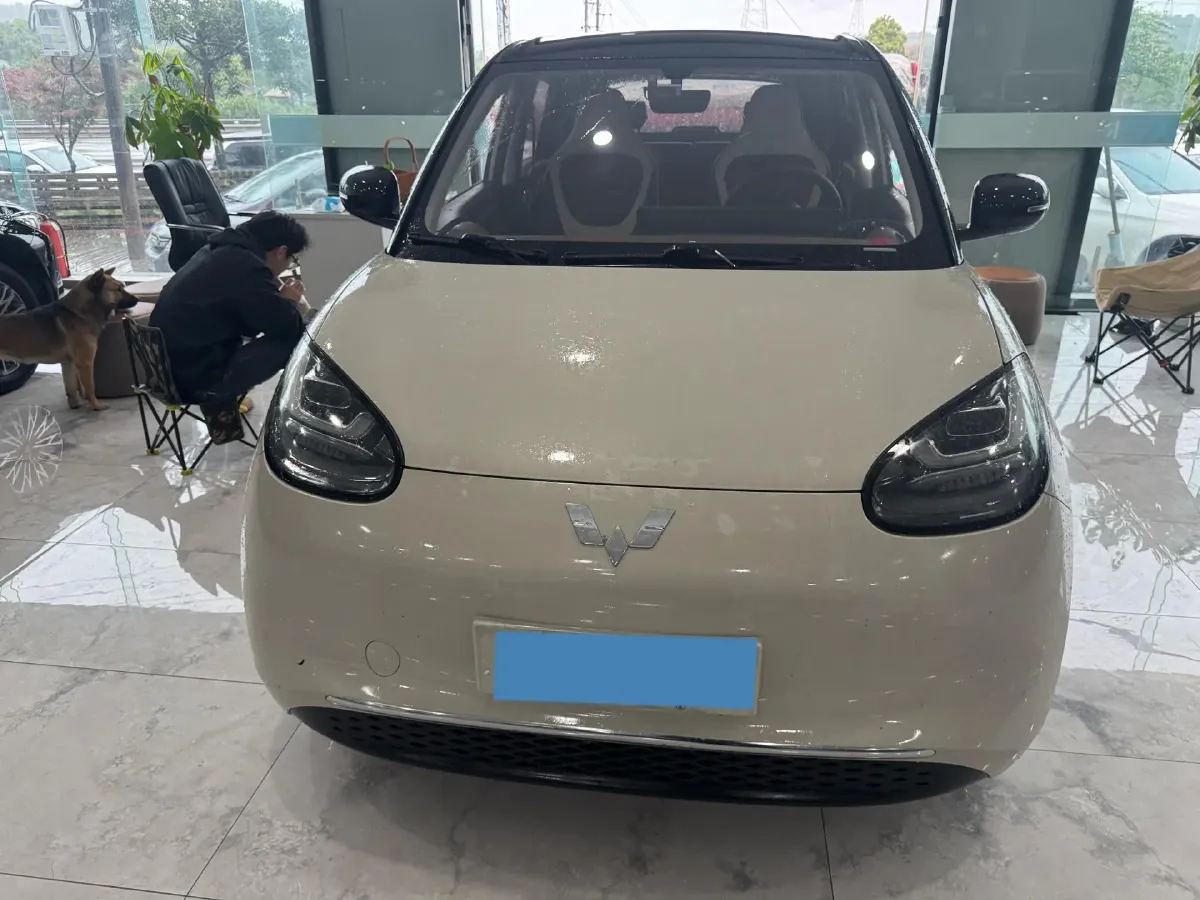 2024 WuLing BinGuo BEV 31.9KWH,autocango,china used car exporter,china ev exporter,chinese used car exporter,chinese used ev exporter