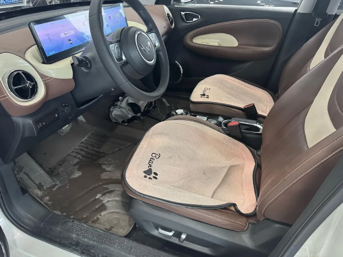 2024 WuLing BinGuo BEV 31.9KWH,autocango,china used car exporter,china ev exporter,chinese used car exporter,chinese used ev exporter