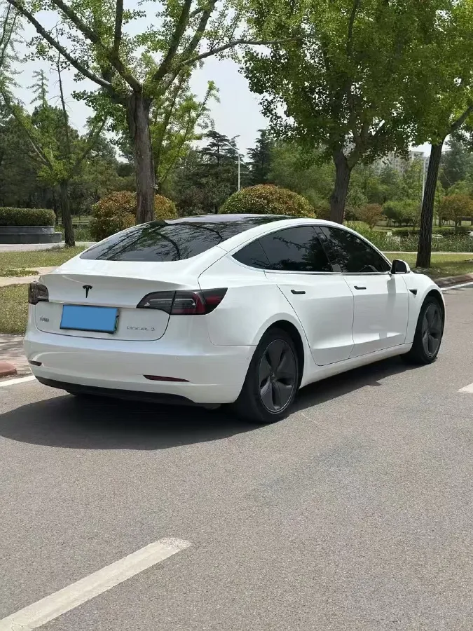2020 Tesla Model 3 BEV 52KWH,autocango,china used car exporter,china ev exporter,chinese used car exporter,chinese used ev exporter