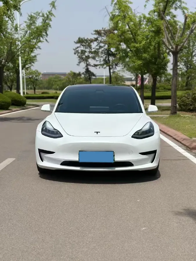 2020 Tesla Model 3 BEV 52KWH,autocango,china used car exporter,china ev exporter,chinese used car exporter,chinese used ev exporter