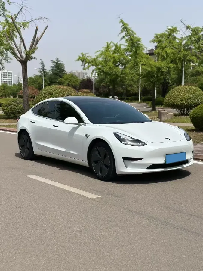 2020 Tesla Model 3 BEV 52KWH,autocango,china used car exporter,china ev exporter,chinese used car exporter,chinese used ev exporter