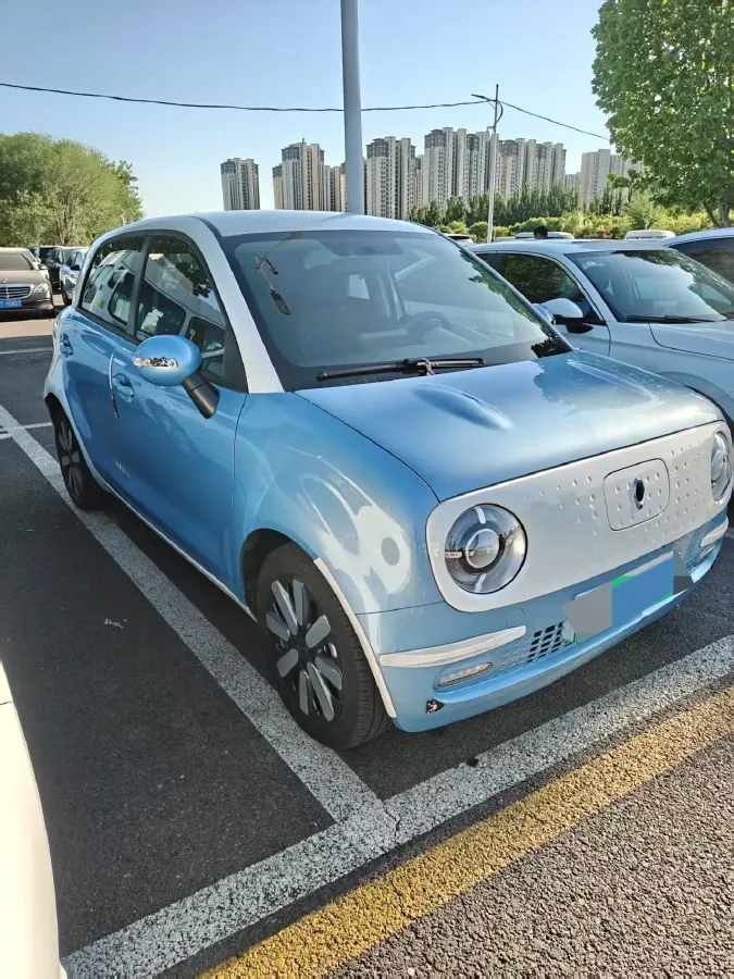 2019 Ora BlackCat BEV 28.5KWH,autocango,china used car exporter,china ev exporter,chinese used car exporter,chinese used ev exporter