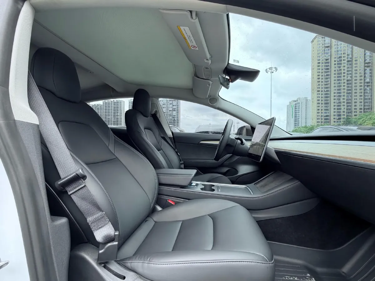 2021 Tesla Model 3 BEV 55KWH,autocango,china used car exporter,china ev exporter,chinese used car exporter,chinese used ev exporter