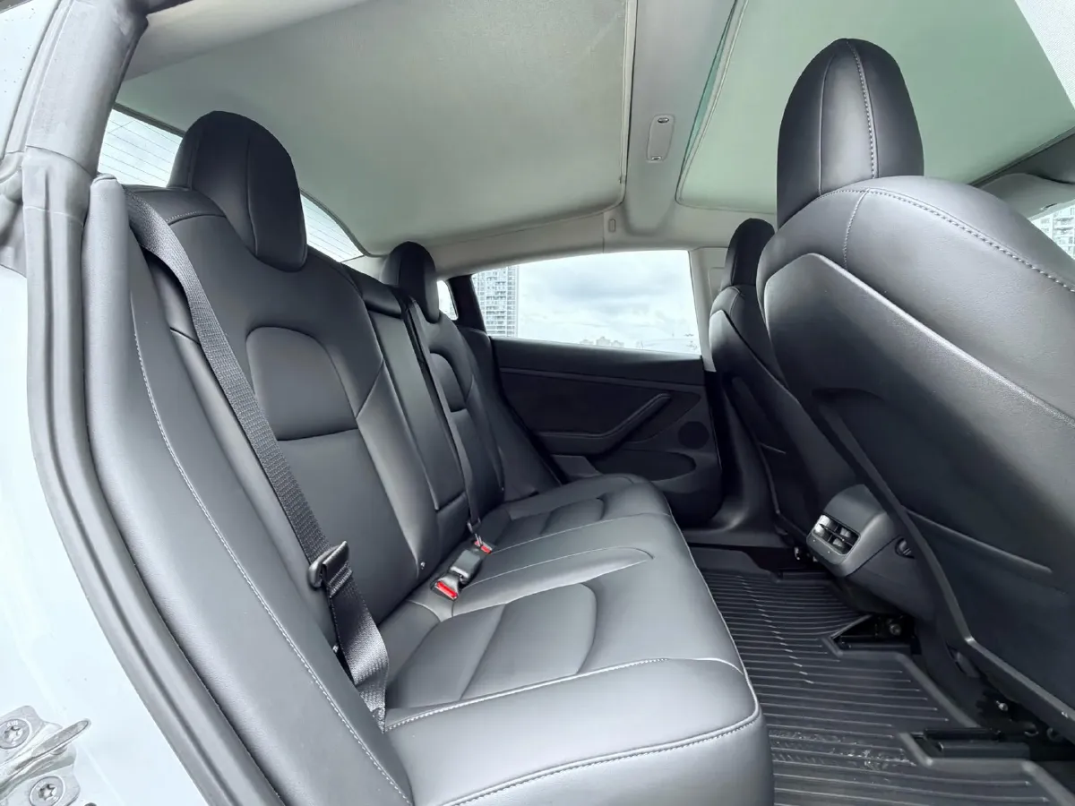 2021 Tesla Model 3 BEV 55KWH,autocango,china used car exporter,china ev exporter,chinese used car exporter,chinese used ev exporter