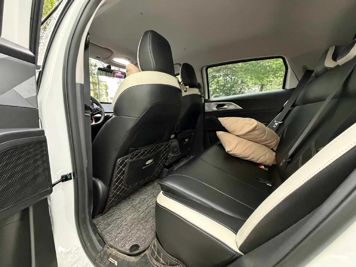 2023 Geometry E BEV 33.5KWH,autocango,china used car exporter,china ev exporter,chinese used car exporter,chinese used ev exporter