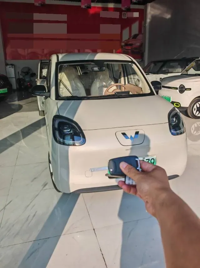 2025 WuLing HongGuang MINI EV BEV 16.2KWH,autocango,china used car exporter,china ev exporter,chinese used car exporter,chinese used ev exporter
