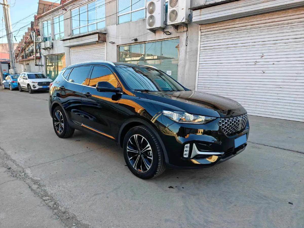 2021 WEY VV6 2.0T 227HP L4 7DCT,autocango,china used car exporter,china ev exporter,chinese used car exporter,chinese used ev exporter