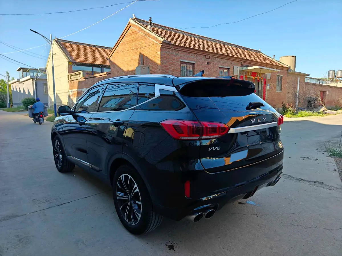 2021 WEY VV6 2.0T 227HP L4 7DCT,autocango,china used car exporter,china ev exporter,chinese used car exporter,chinese used ev exporter