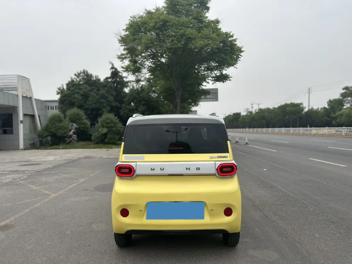 2024 WuLing HongGuang MINI EV BEV 17.3KWH,autocango,china used car exporter,china ev exporter,chinese used car exporter,chinese used ev exporter