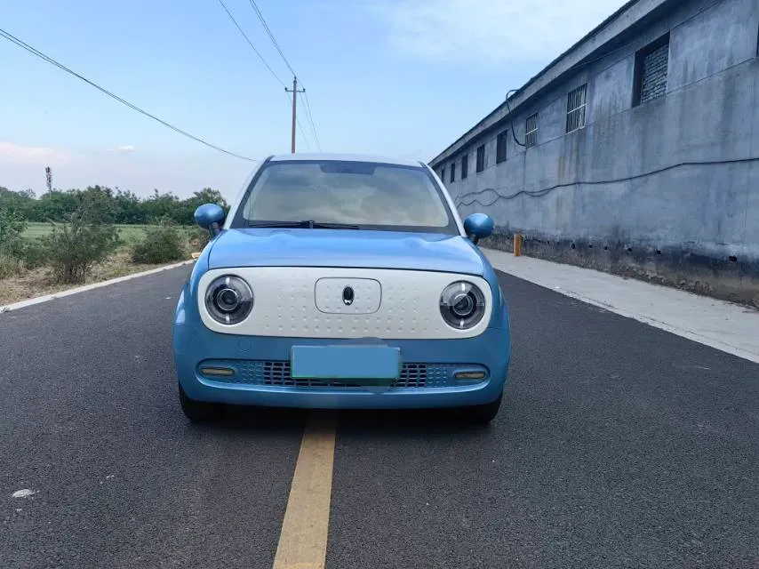 2019 Ora BlackCat BEV 33KWH,autocango,china used car exporter,china ev exporter,chinese used car exporter,chinese used ev exporter