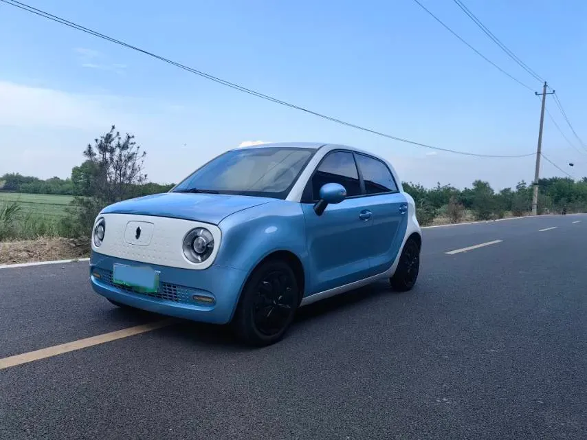 2019 Ora BlackCat BEV 33KWH,autocango,china used car exporter,china ev exporter,chinese used car exporter,chinese used ev exporter