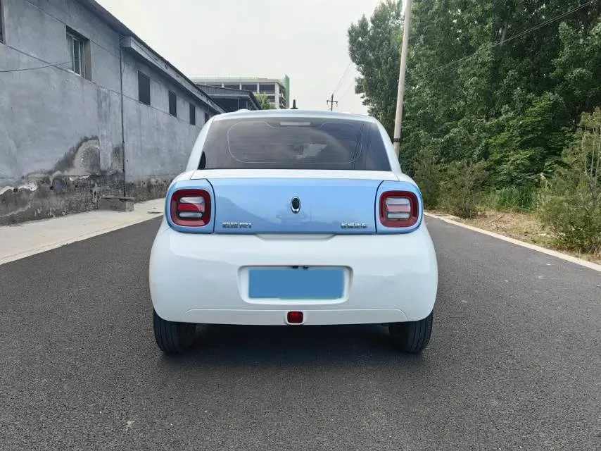 2019 Ora BlackCat BEV 33KWH,autocango,china used car exporter,china ev exporter,chinese used car exporter,chinese used ev exporter