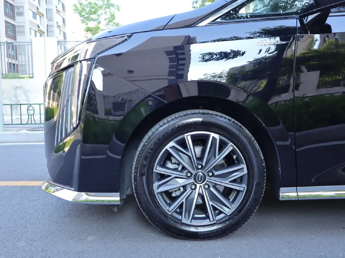 2024 GAC Trumpchi M8 2.0T 252HP L4 8AT,autocango,china used car exporter,china ev exporter,chinese used car exporter,chinese used ev exporter