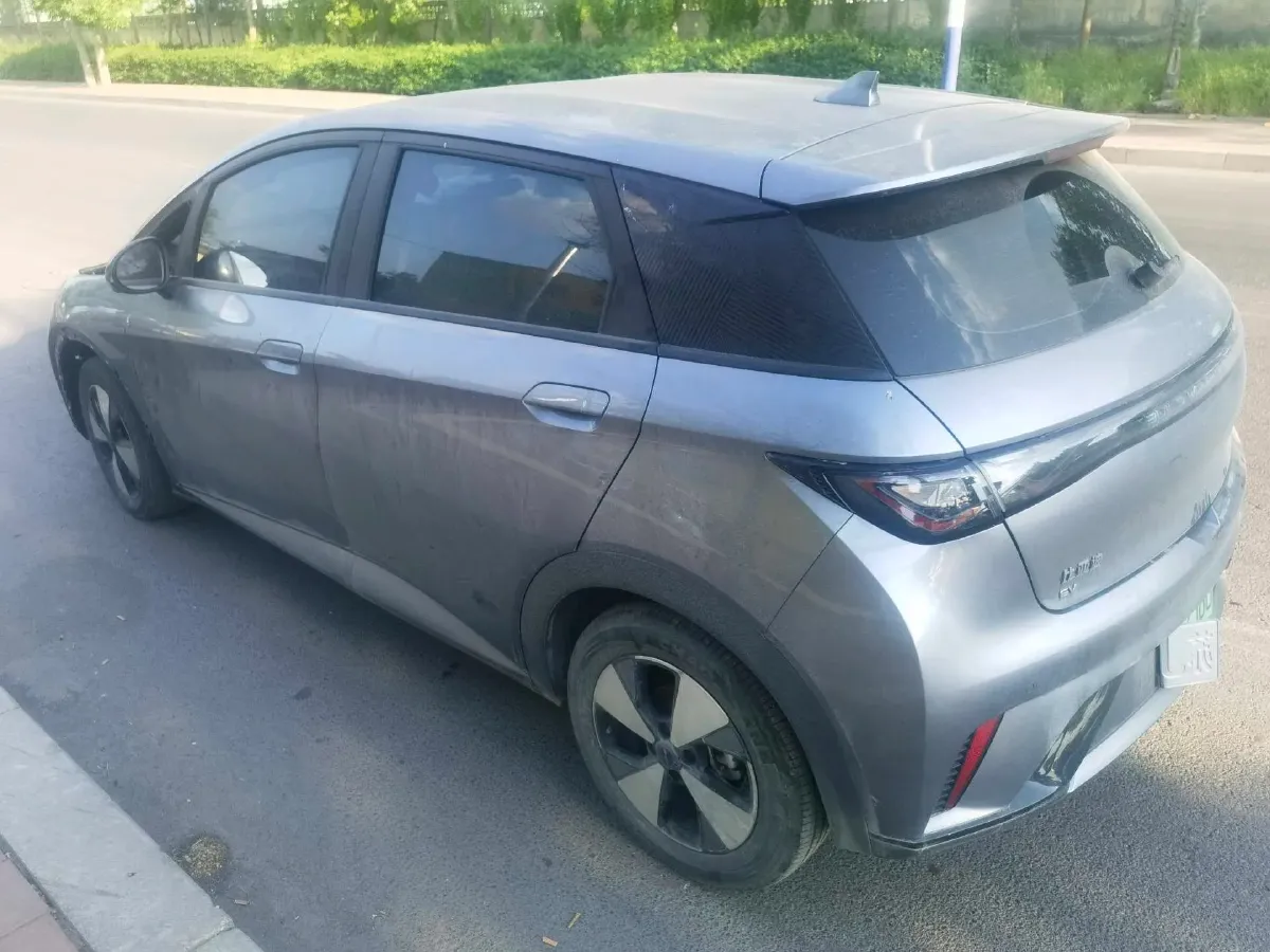 2023 BYD Dolphin BEV 44.928KWH,autocango,china used car exporter,china ev exporter,chinese used car exporter,chinese used ev exporter