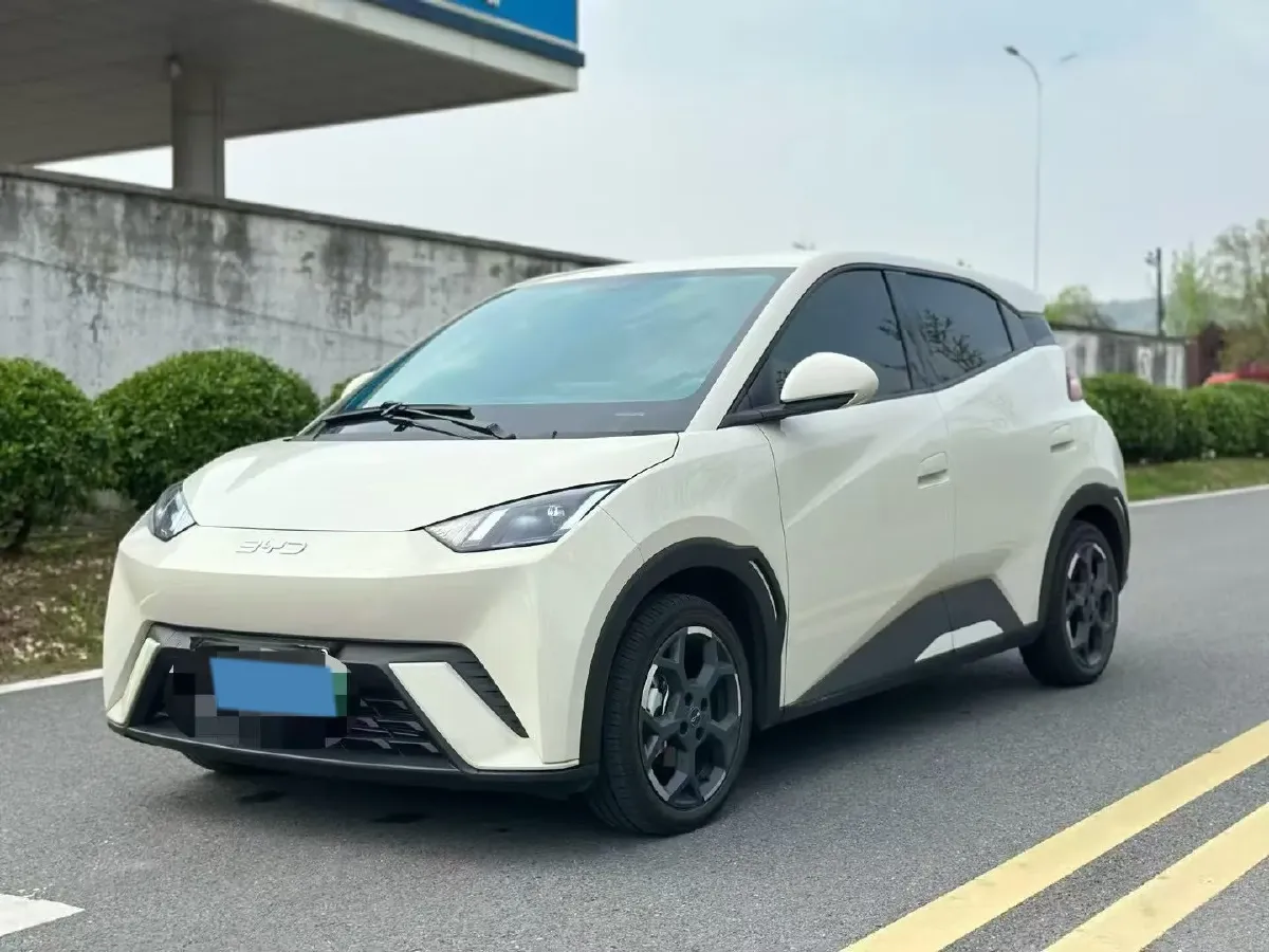 2025 BYD Seagull BEV 30.08KWH,autocango,china used car exporter,china ev exporter,chinese used car exporter,chinese used ev exporter