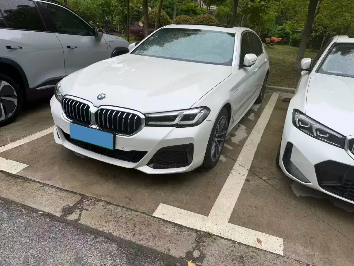 2021 BMW 5 Series 2.0T 184HP L4 8AT PHEV 17.7KWH,autocango,china used car exporter,china ev exporter,chinese used car exporter,chinese used ev exporter