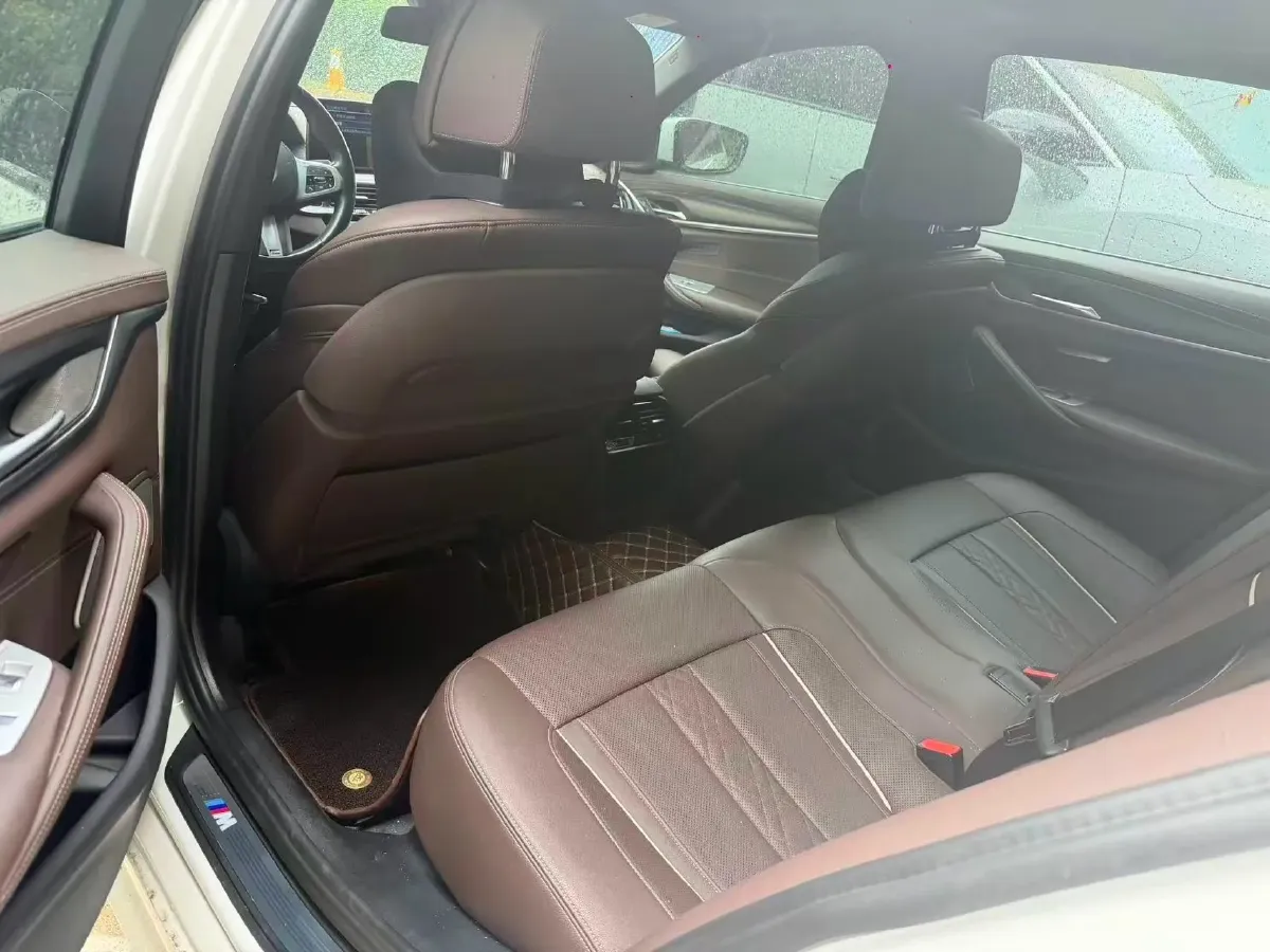 2021 BMW 5 Series 2.0T 184HP L4 8AT PHEV 17.7KWH,autocango,china used car exporter,china ev exporter,chinese used car exporter,chinese used ev exporter