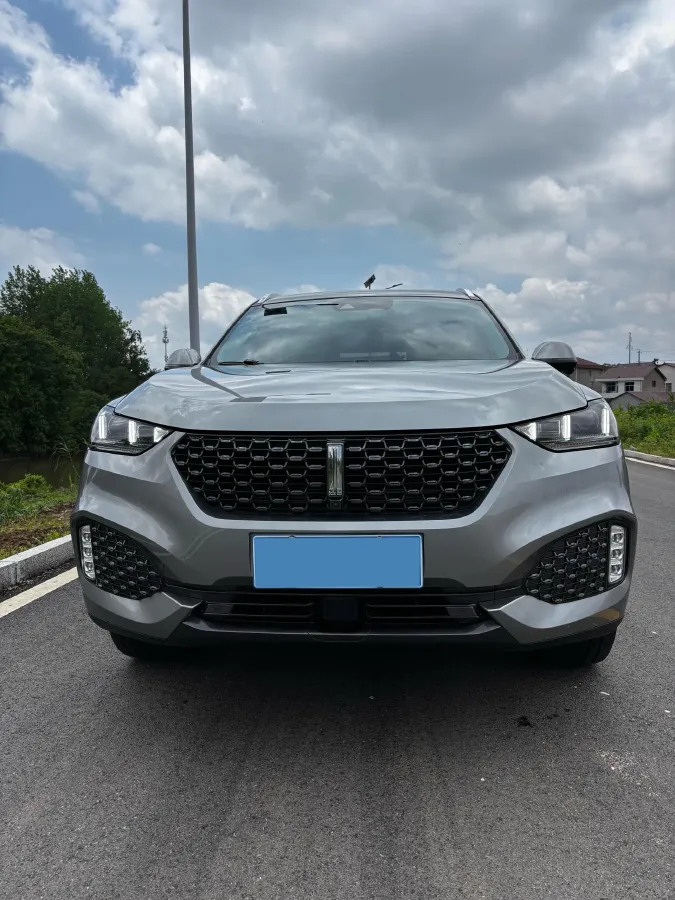 2020 WEY VV6 2.0T 227HP L4 7DCT,autocango,china used car exporter,china ev exporter,chinese used car exporter,chinese used ev exporter