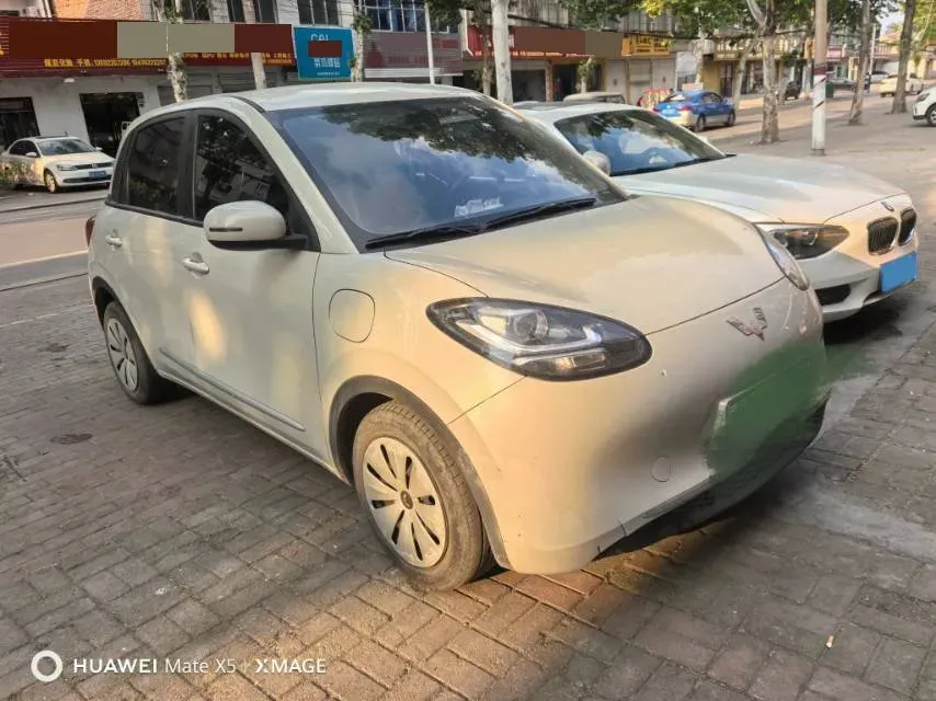 2023 WuLing BinGuo BEV 17.3KWH,autocango,china used car exporter,china ev exporter,chinese used car exporter,chinese used ev exporter