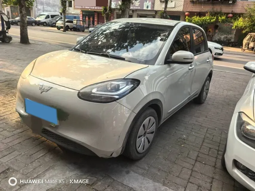 2023 WuLing BinGuo BEV 17.3KWH,autocango,china used car exporter,china ev exporter,chinese used car exporter,chinese used ev exporter