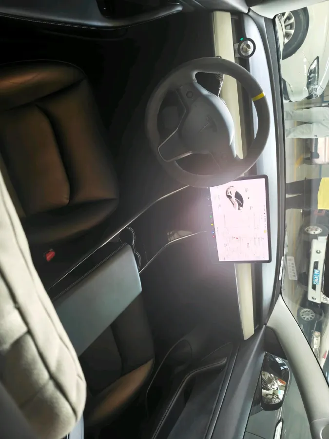 2020 Tesla Model 3 BEV 55KWH,autocango,china used car exporter,china ev exporter,chinese used car exporter,chinese used ev exporter