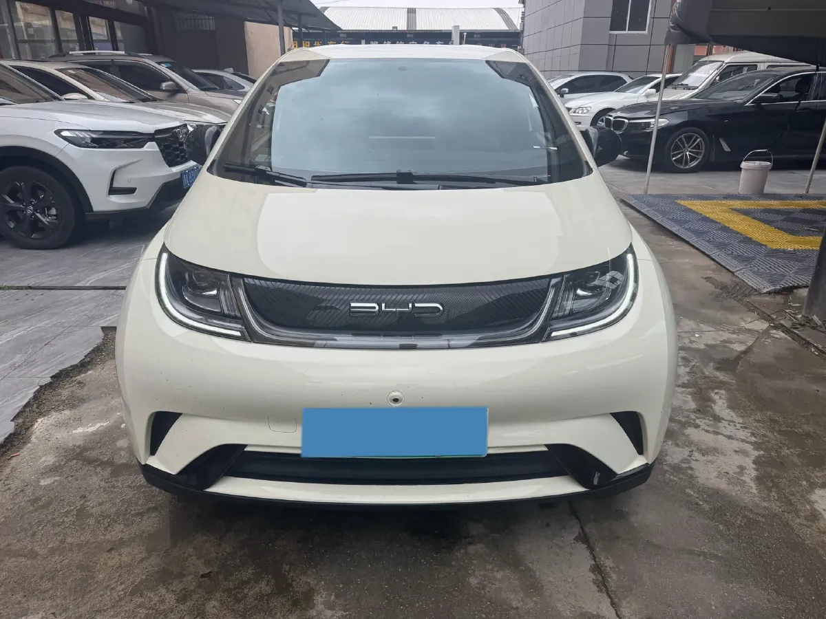 2023 BYD Dolphin BEV 44.928KWH,autocango,china used car exporter,china ev exporter,chinese used car exporter,chinese used ev exporter