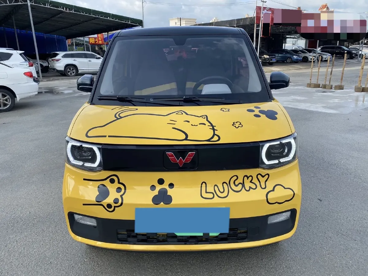 2021 WuLing HongGuang MINI EV BEV 13.9KWH,autocango,china used car exporter,china ev exporter,chinese used car exporter,chinese used ev exporter