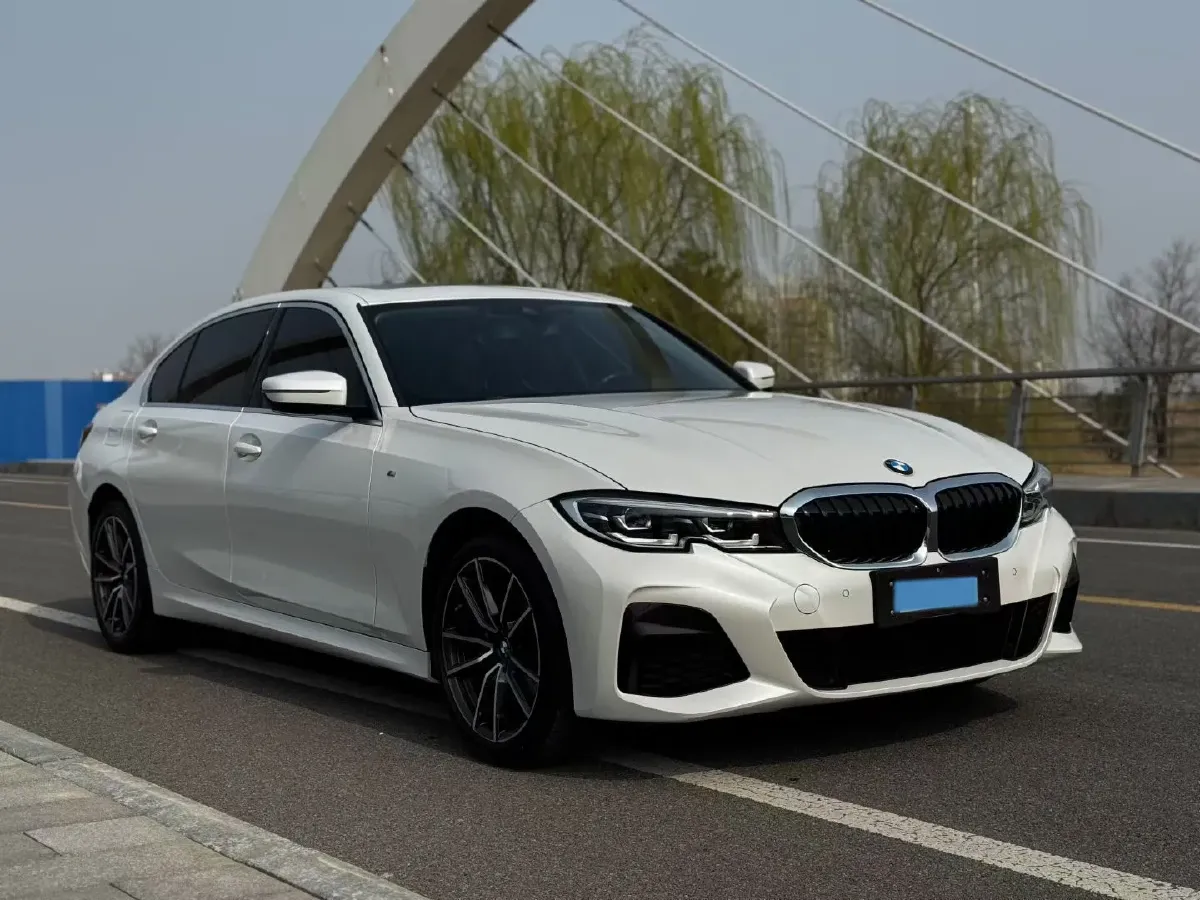 2021 BMW 3 Series 2.0T 184HP L4 8AT,autocango,china used car exporter,china ev exporter,chinese used car exporter,chinese used ev exporter