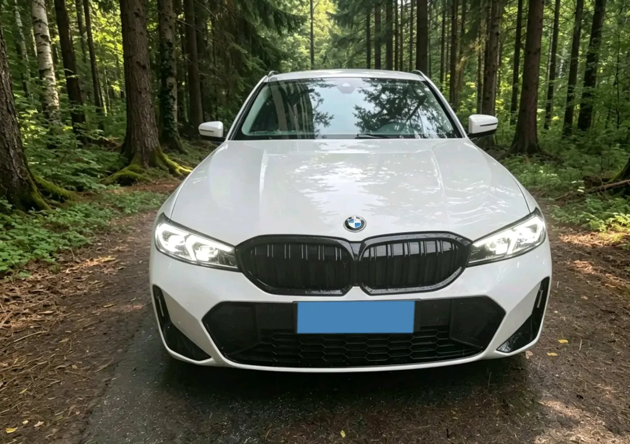 2023 BMW 3 Series 2.0T 184HP L4 8AT,autocango,china used car exporter,china ev exporter,chinese used car exporter,chinese used ev exporter