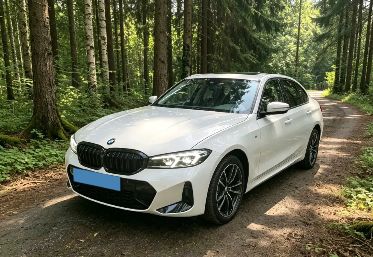 2023 BMW 3 Series 2.0T 184HP L4 8AT,autocango,china used car exporter,china ev exporter,chinese used car exporter,chinese used ev exporter