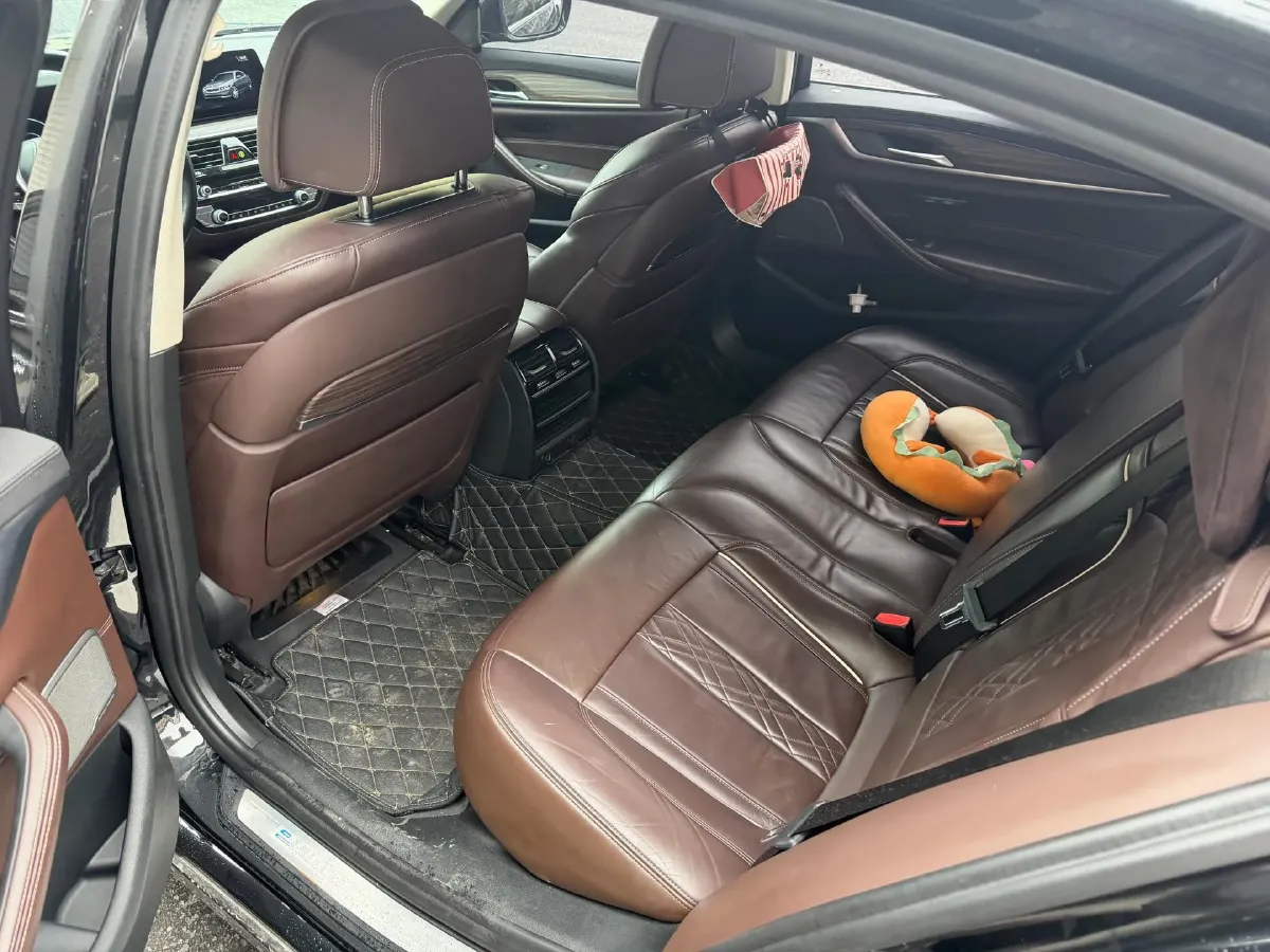 2019 BMW 5 Series 2.0T 184HP L4 8AT PHEV 13KWH,autocango,china used car exporter,china ev exporter,chinese used car exporter,chinese used ev exporter