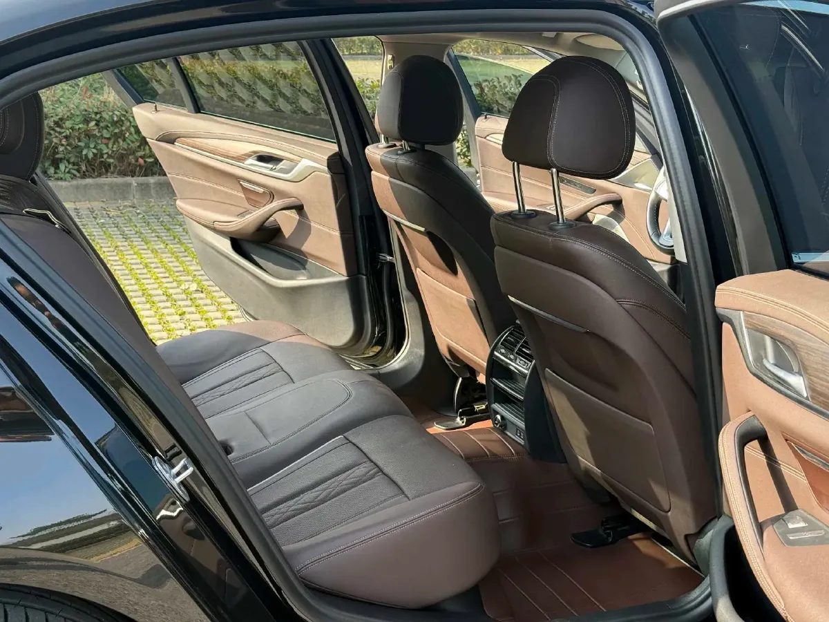 2021 BMW 5 Series 2.0T 252HP L4 8AT,autocango,china used car exporter,china ev exporter,chinese used car exporter,chinese used ev exporter