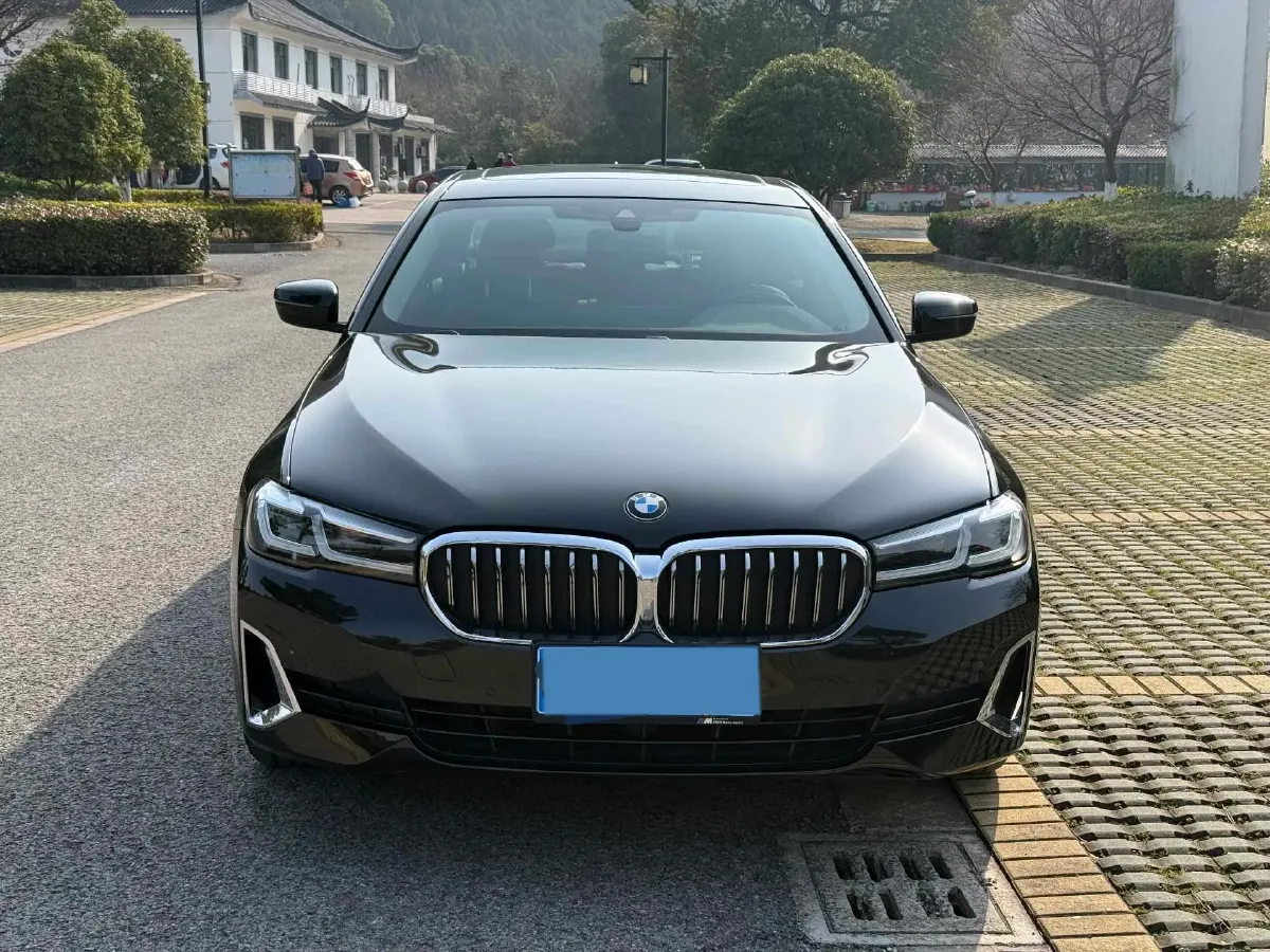 2021 BMW 5 Series 2.0T 252HP L4 8AT,autocango,china used car exporter,china ev exporter,chinese used car exporter,chinese used ev exporter