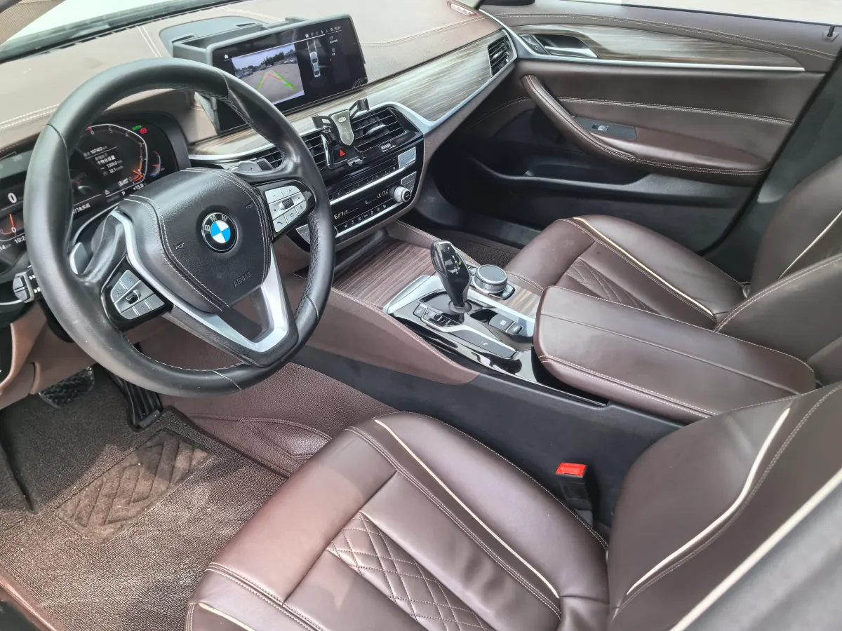 2020 BMW 5 Series 2.0T 252HP L4 8AT,autocango,china used car exporter,china ev exporter,chinese used car exporter,chinese used ev exporter